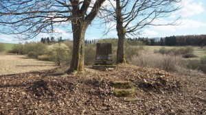 04 Obnova pomníku obětem 1. světové války v Dlouhé 